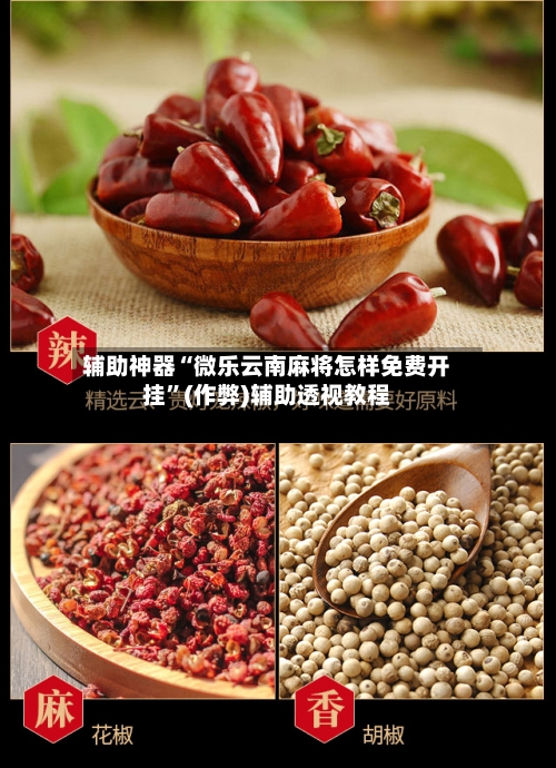 辅助神器“微乐云南麻将怎样免费开挂”(作弊)辅助透视教程