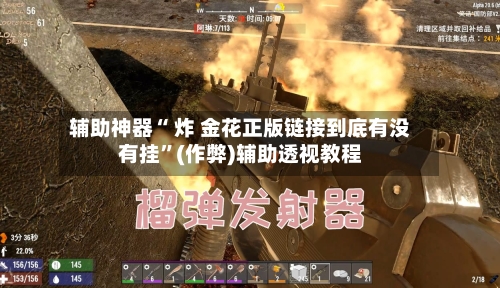 辅助神器“ 炸 金花正版链接到底有没有挂”(作弊)辅助透视教程