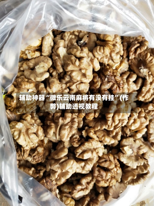 辅助神器“微乐云南麻将有没有挂”(作弊)辅助透视教程